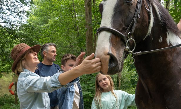 Finlake Activities Horse Riding