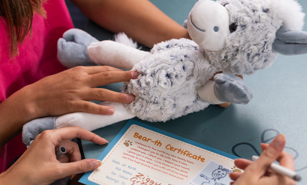 Finlake Build A Bear Certificate